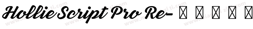 Hollie Script Pro Re字体转换